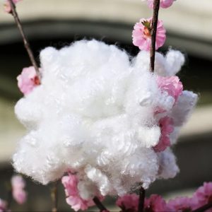 Xơ polyester - Bông Gòn Hải Nam - Công Ty TNHH Thương Mại Dịch Vụ Bông Gòn Hải Nam