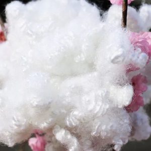 Xơ polyester 3D - Bông Gòn Hải Nam - Công Ty TNHH Thương Mại Dịch Vụ Bông Gòn Hải Nam