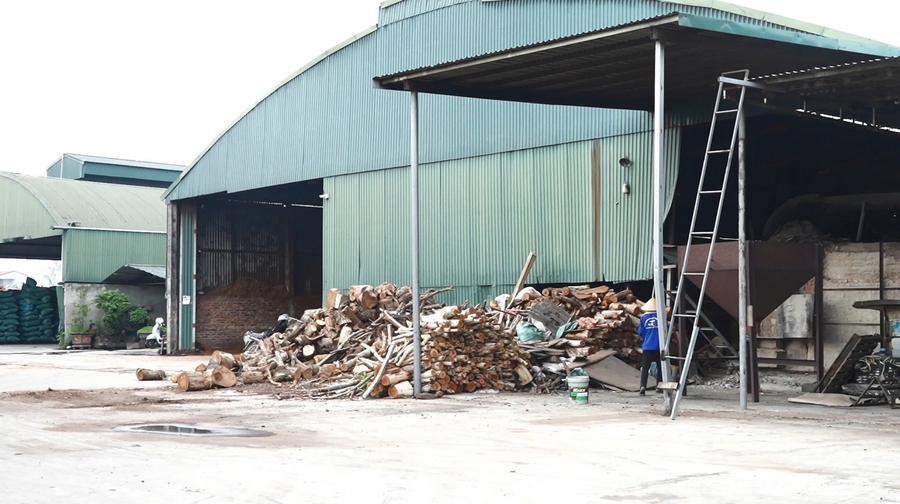 Hình ảnh công ty Tấn Phát