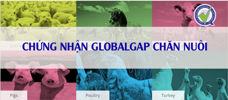 Chứng nhận GlobalGAP - Công Ty TNHH Tư Vấn Và Đào Tạo Chất Lượng Việt
