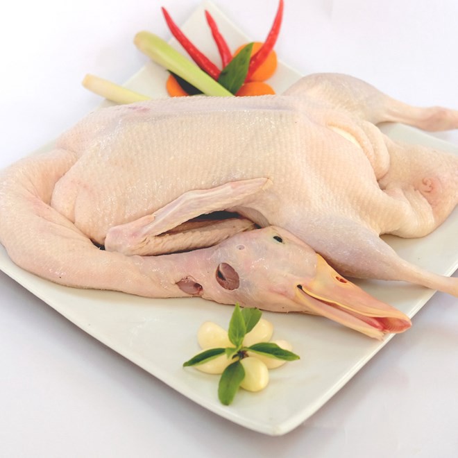 Thịt vịt tươi sống