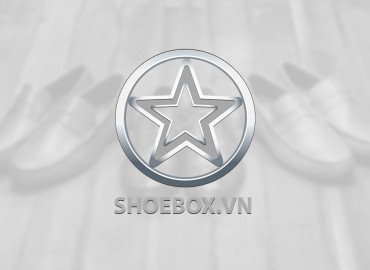 Thiết kế logo shoebox - Công Ty TNHH Thương Mại Dịch Vụ Mỹ Thuật Việt