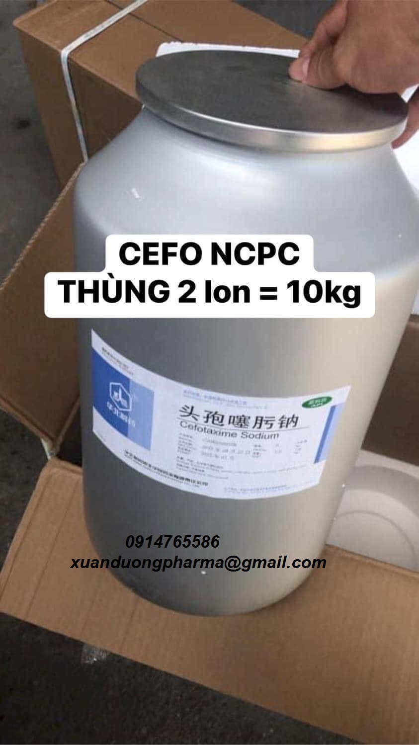 Kháng sinh thủy sản chất lượng cao Cefotaxime NCPC 98%