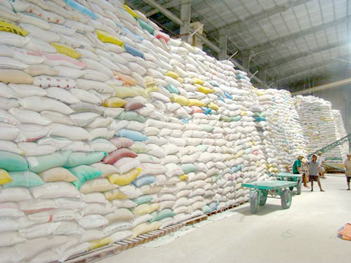Gạo lương thực - Gạo Thiên Thành Phát - Công Ty TNHH Sản Xuất Thương Mại Xuất Nhập Khẩu Thiên Thành Phát