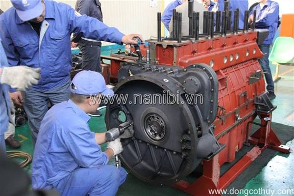 Dịch vụ bảo dưỡng định kỳ, chữa các loại động cơ Diesel - Nanibi Việt Nam - Công Ty TNHH Đầu Tư Thương Mại Dịch Vụ Nanibi Việt Nam