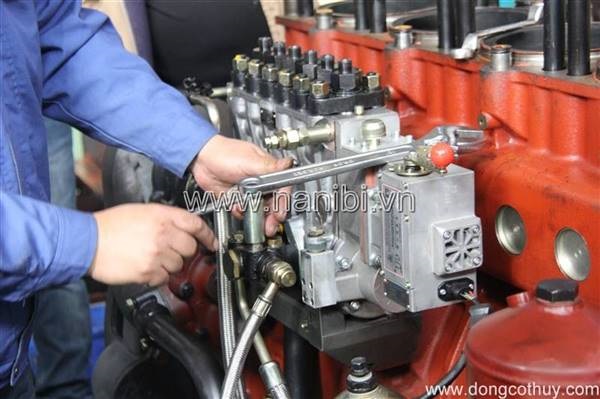 Dịch vụ bảo dưỡng định kỳ, chữa các loại động cơ Diesel - Nanibi Việt Nam - Công Ty TNHH Đầu Tư Thương Mại Dịch Vụ Nanibi Việt Nam