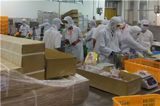 Quan trắc môi trường - Đào Tạo Huấn Luyện Lao Động Khánh Hòa - Công Ty TNHH Dịch Vụ Môi Trường Lao Động Khánh Hòa