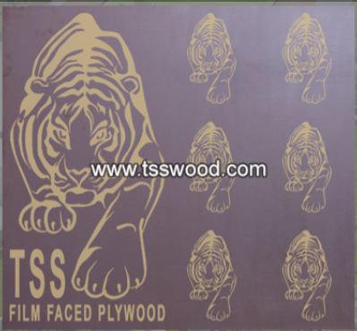 Ván ép phủ phim Tigerwood