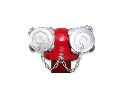 Họng tiếp nước chữa cháy ngoài nhà - PCCC Vương Nam - Công Ty Cổ Phần Vương Nam