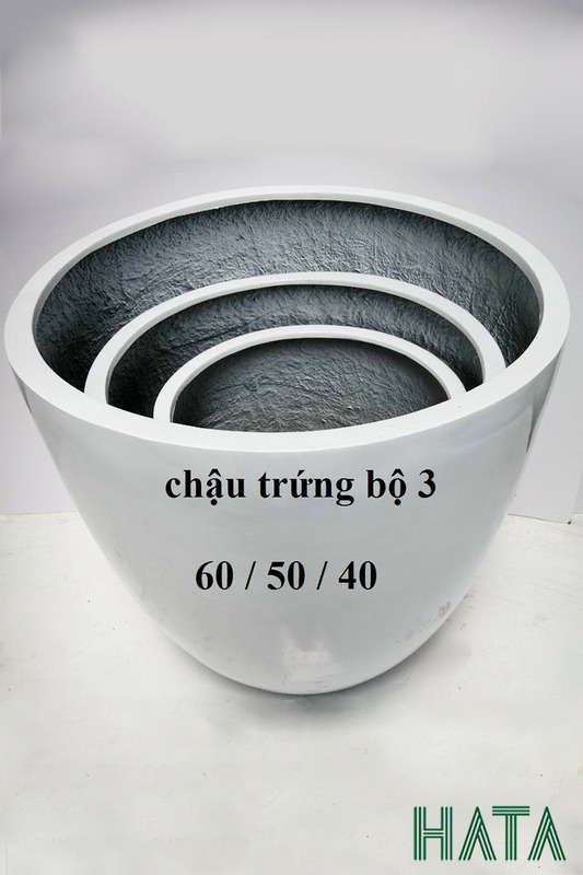 Chậu trứng
