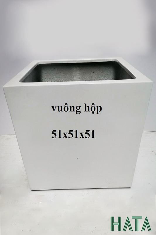Chậu vuông