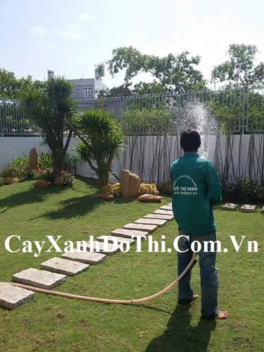 Dịch vụ tưới nước cây xanh - Kiến Trúc Cảnh Quan HATA LANDSCAPE - Công Ty TNHH Kiến Trúc Cảnh Quan Hata