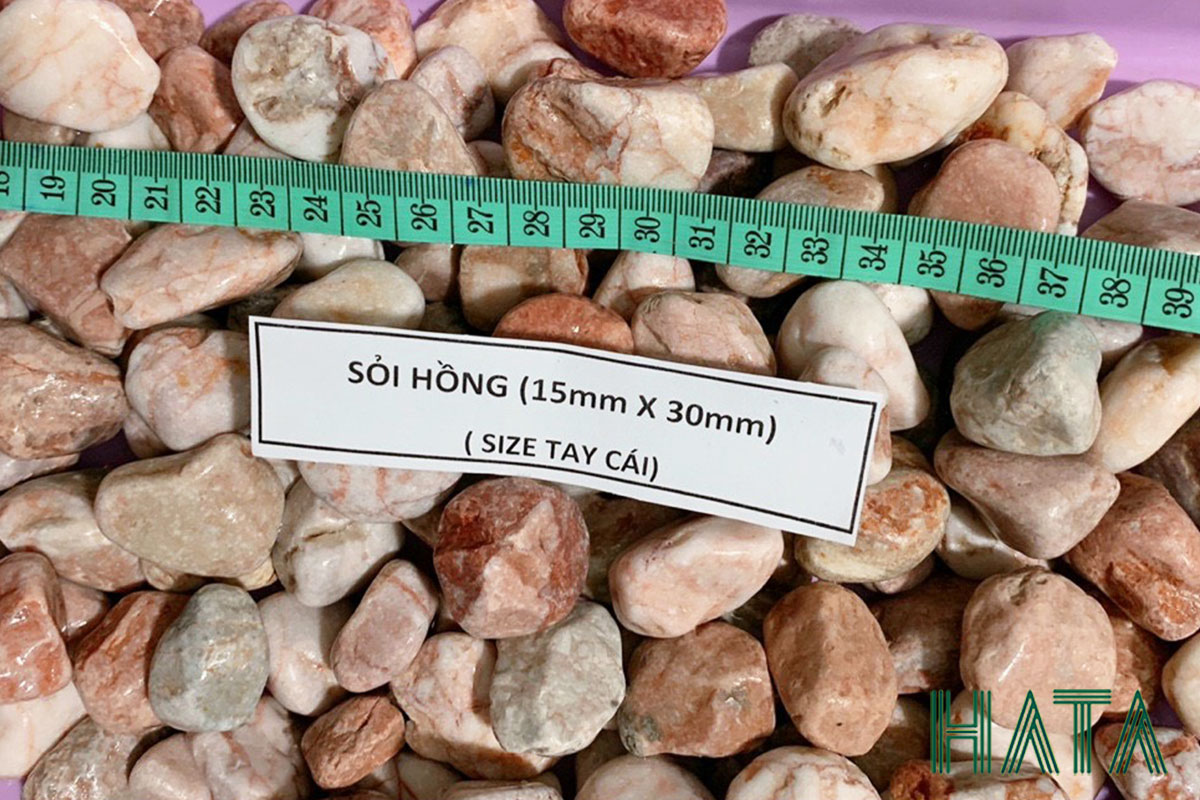 Sỏi hồng
