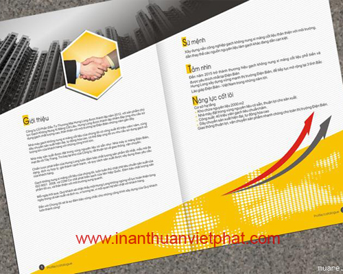 In Brochure - In ấn Nhất Tín - Công Ty TNHH Sản Xuất Bao Bì Nhất Tín