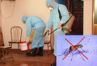 Dịch vụ diệt muỗi - Công Ty Cổ Phần Xây Dựng Và Du Lịch Minh Anh