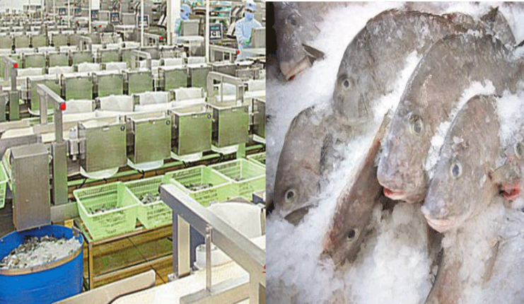 Kho lạnh hải sản - Điện Lạnh Tài Anh - Công Ty TNHH Thương Mại Kỹ Thuật Tài Anh