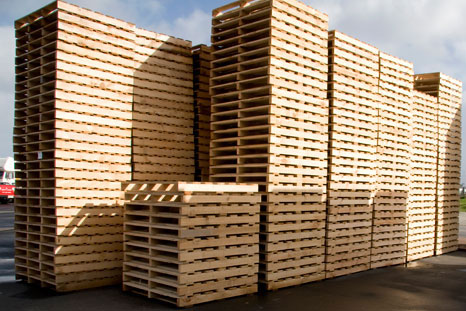 Pallet gỗ