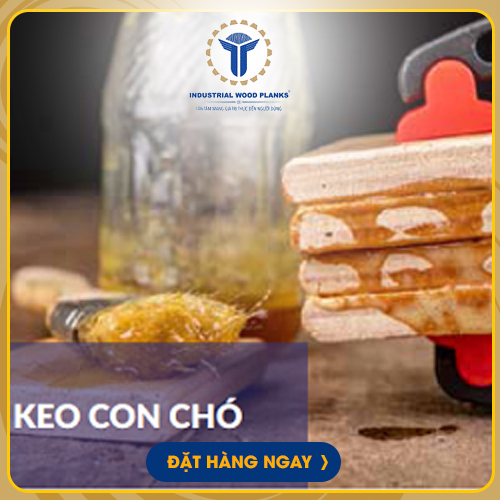 Keo con chó