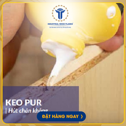 Keo PUR
