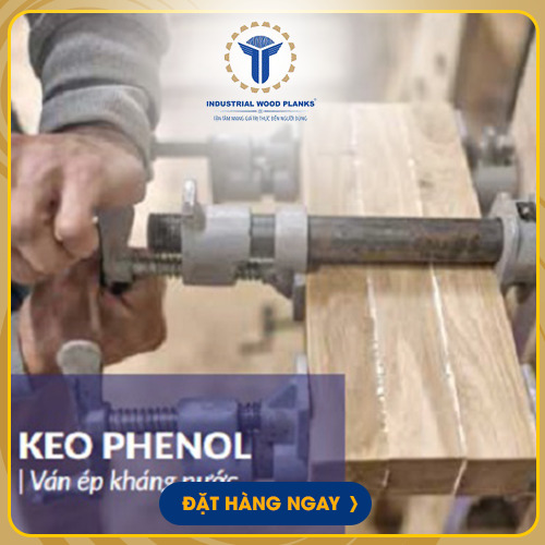 Keo Phenol