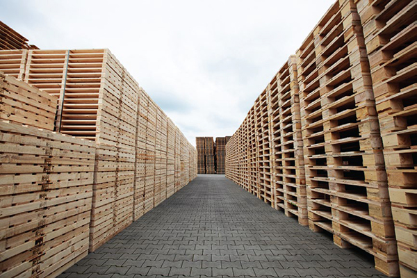 Pallet gỗ