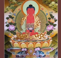Amitaba - Công Ty TNHH Tibet House