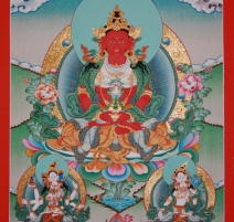 Amitayus - Công Ty TNHH Tibet House