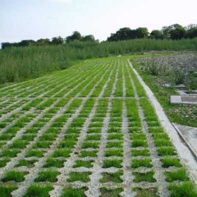 Gạch trồng cỏ - Công ty TNHH Sản Xuất Ngọc Hiếu