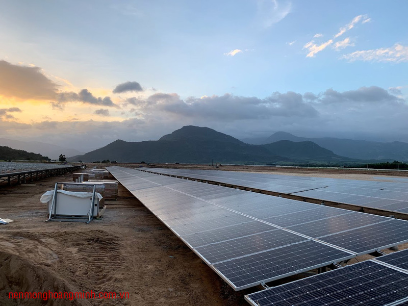 Thi công móng cọc và lắp dựng tấm pin điện mặt trời - Thi Công Nền Móng Hoàng Minh - Công Ty TNHH Xây Dựng Nền Móng Hoàng Minh