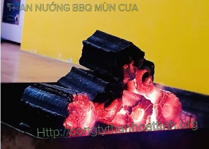 Than mùn cưa không khói BBQ - Than Hoạt Tính Tân ánh Dương - Công Ty Cổ Phần Thương Mại Dịch Vụ Và Xuất Nhập Khẩu Tân ánh Dương