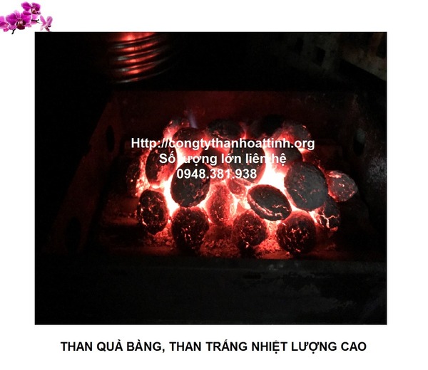 Than nướng BBQ quả bàng - Than Hoạt Tính Tân ánh Dương - Công Ty Cổ Phần Thương Mại Dịch Vụ Và Xuất Nhập Khẩu Tân ánh Dương
