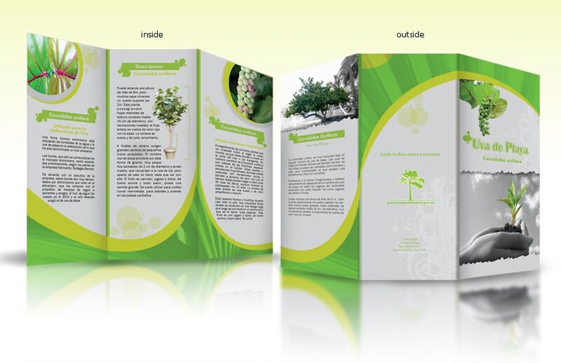 In Brochure - In Bao Bì Tam Sao - Công Ty TNHH In Bao Bì Tam Sao