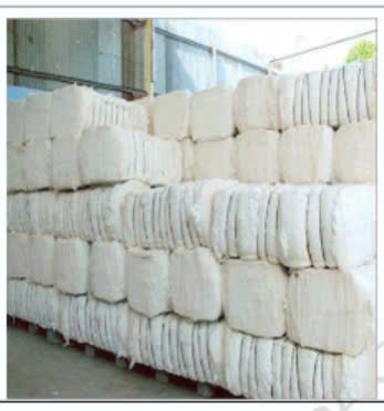 Bông cotton - Công ty TNHH Thương Mại Dịch Vụ DHC INDIVINA