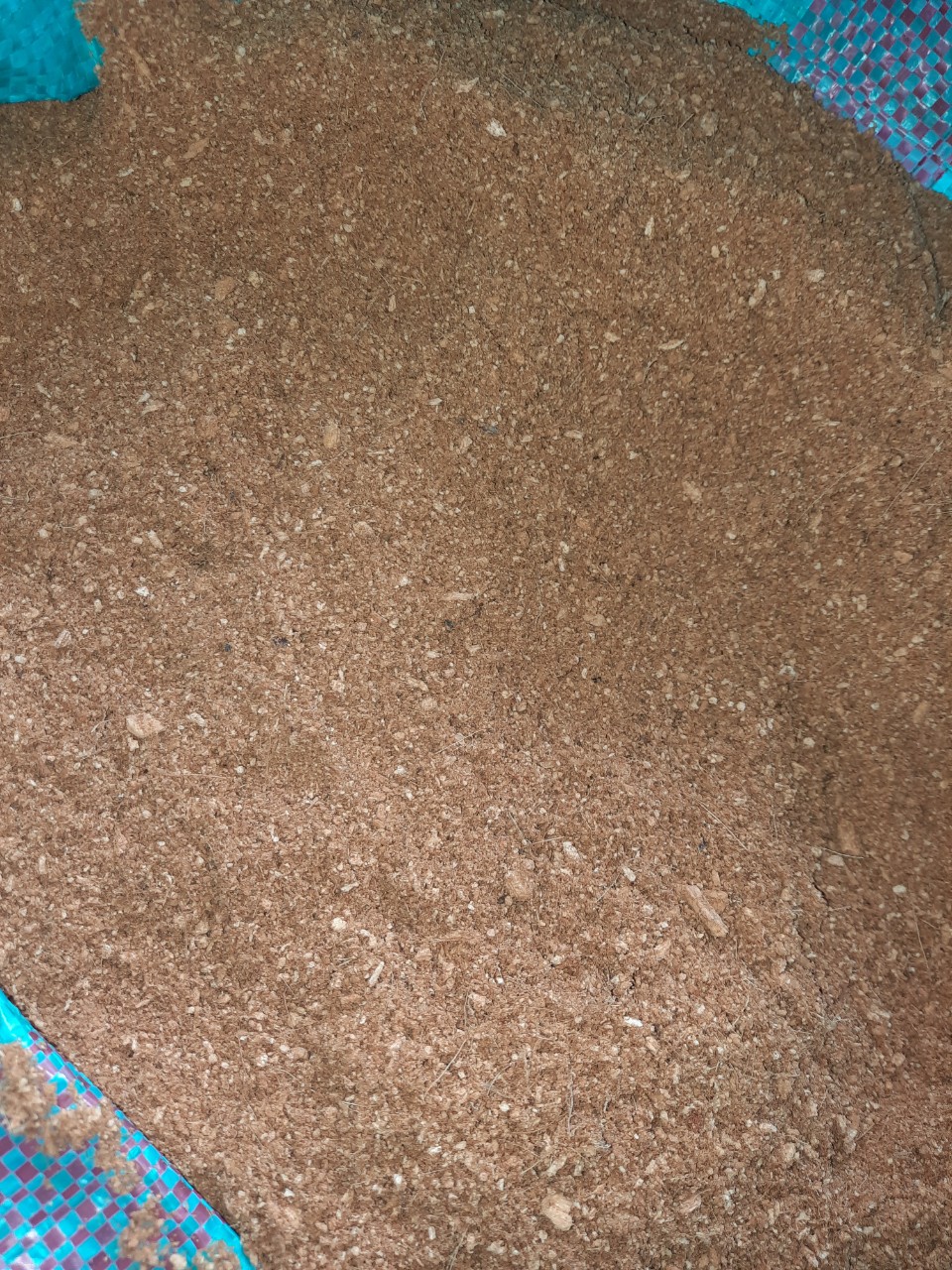 Mùn sàn mịn dùng trong vườn ươm, gieo mạ - Mụn Dừa, Sơ Dừa Trần Vinh - Cơ Sở Dừa Trần Vinh