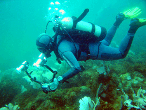 Lặn khảo sát công trình ngầm - Lặn Long Hải - Công Ty TNHH Lặn Long Hải