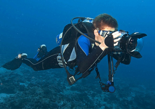 Quay phim, chụp hình dưới nước - Lặn Long Hải - Công Ty TNHH Lặn Long Hải