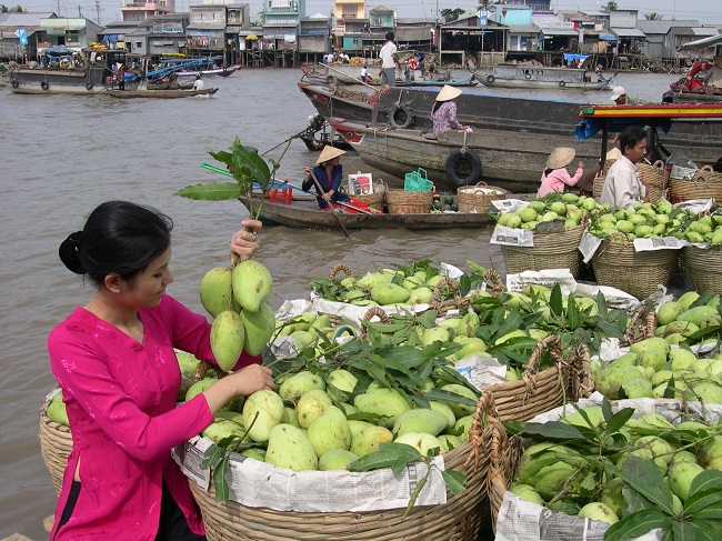 Vận Chuyển Hà Lâm – Công Ty TNHH Dịch Vụ Vận Tải Hà Lâm