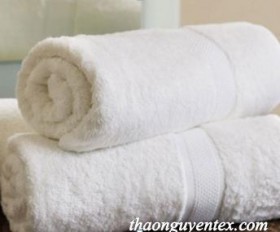 Khăn tắm - Công Ty TNHH Dệt May Xuất Khẩu Thảo Nguyên