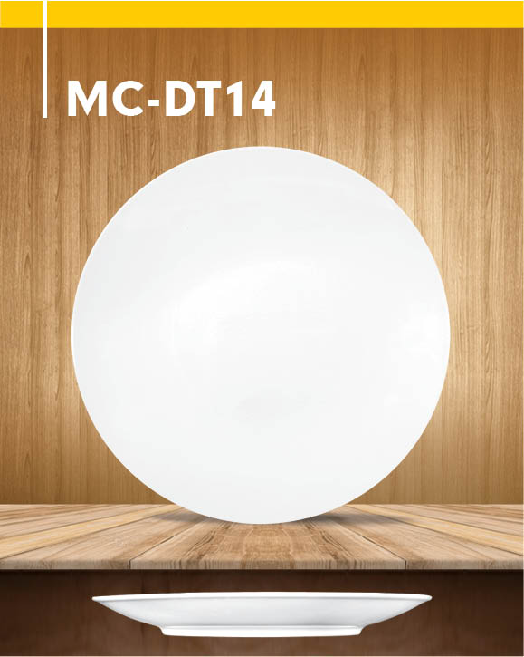 MC-DT04