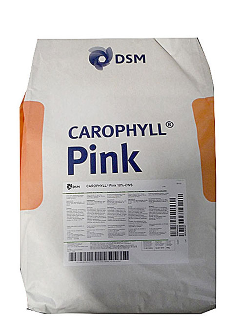 Màu hồng-CAROPHYLL Pink