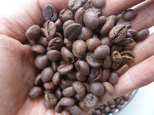 Cà phê hạt rang giá sỉ - Công Ty TNHH VietLe Trading