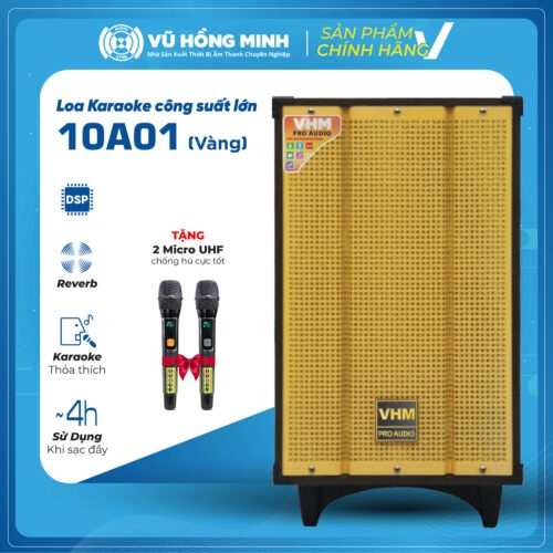 Loa karaoke di động