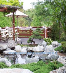 Thiết kế tiểu cảnh