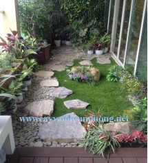 Thiết kế tiểu cảnh