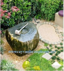 Thiết kế tiểu cảnh