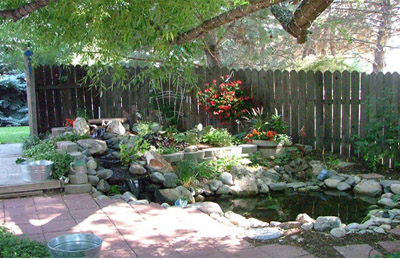 Tiểu cảnh hồ cá đẹp