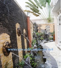 Thiết kế tiểu cảnh