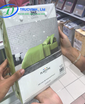 Túi nhựa đựng ga nệm - Túi Nhựa PVC Trúc Vinh - Công Ty TNHH Thương Mại Dịch Vụ Sản Xuất Trúc Vinh