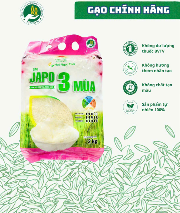 Gạo Gaba Japonica