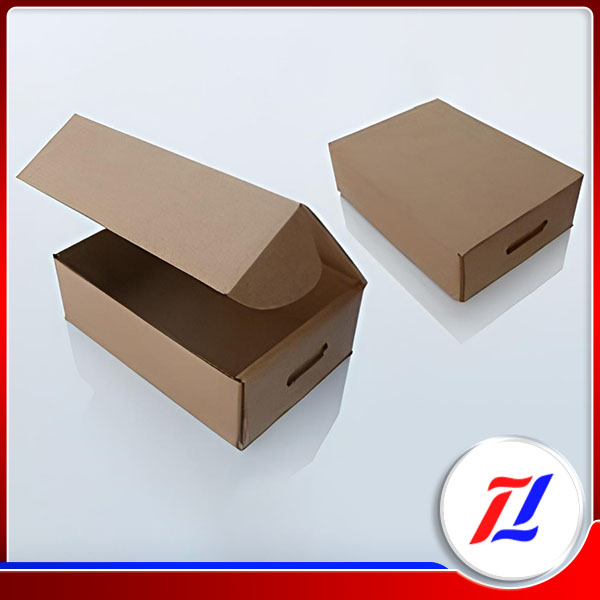 Thùng carton 5 lớp nắp cài - Bao Bì Thăng Long - Công Ty TNHH Sản Xuất Bao Bì Thăng Long
